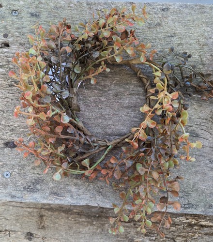 Pepper grass candle ring red - candle,